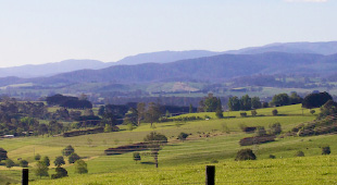 index-tile-views